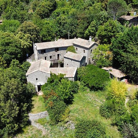 Bed and Breakfast Mas Des Nabieres Saint-Martial  Exterior foto