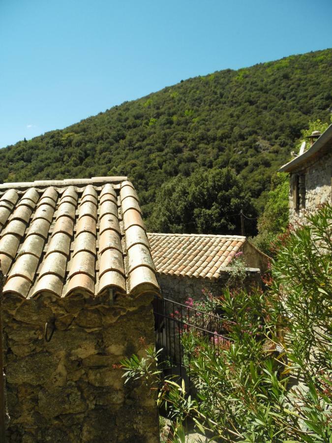 Bed and Breakfast Mas Des Nabieres Saint-Martial  Exterior foto